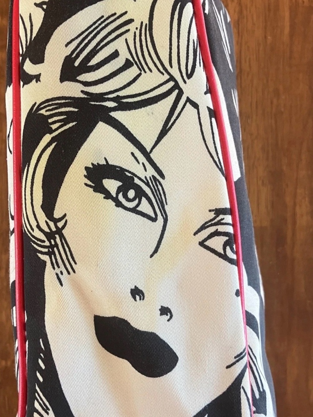 Isabella Fiore Black, White & Red Illustrated Canvas Tote with Beaded Detail - Picture 4 of 7